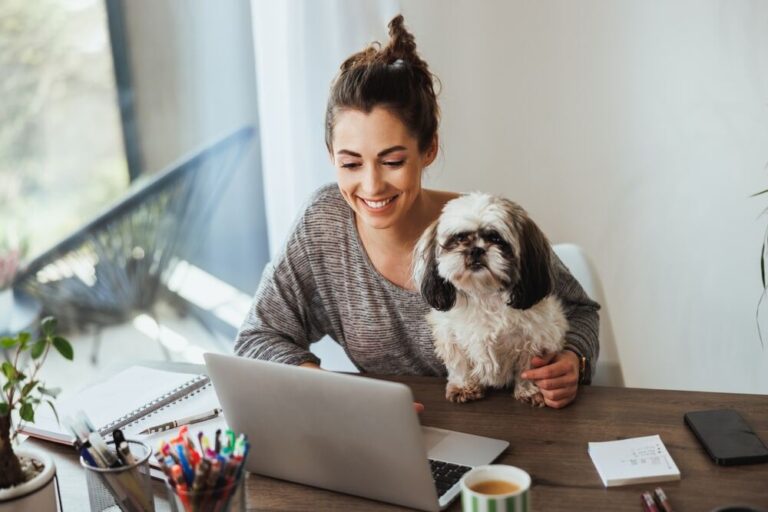 Hond mee naar het werk voor hogere productiviteit